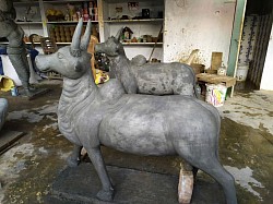 cattles
