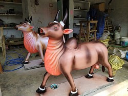 ox