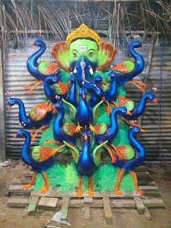 Pecock ganesh